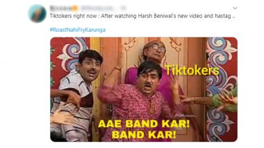 #RoastNahiFryKarunga Funny Memes and Jokes Continue After Harsh Beniwal Posts 'A Day With Cringe TikToker' YouTube Video