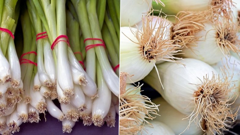 Difference Between Spring Onions and Scallions? Know How These Bulb Veggies Differ From Each Other