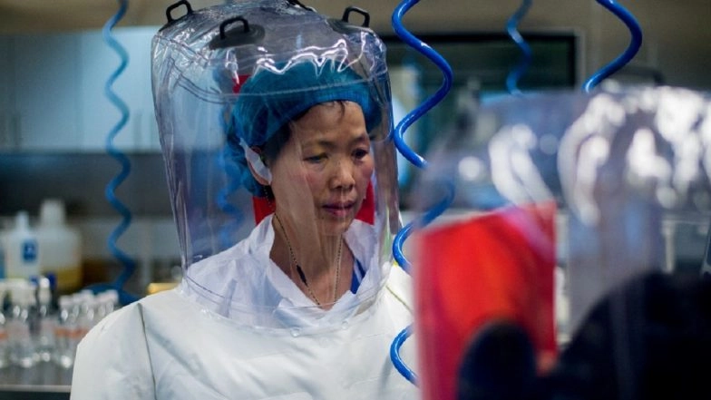 China's 'Bat Woman' Shi Zhengli Says Coronavirus Only 'Tip of Iceberg', Enhanced Study Needed to Prevent Similar Outbreaks