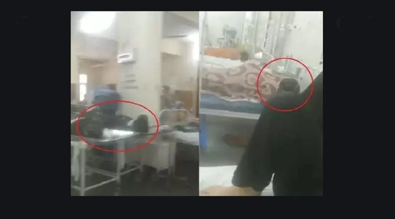 'Report to be Out in Next 24 Hrs': BMC on Viral Video Showing Dead Bodies Next to COVID-19 Patients