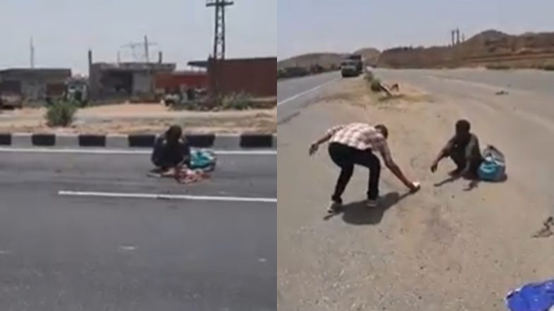 Starving Man Found Eating Dead Dog's Meat Near Jaipur, Video Goes Viral