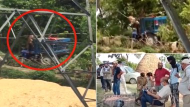 Uttar Pradesh: Furious Tiger Attacks Locals in Pilbhit by Climbing Over a Tractor, 3 Critically Injured, Watch Video