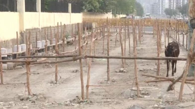 Gazipur Wholesale Fruit &amp; Vegetable Market in Delhi Closed For 2 Days For Sanitisation After Secretary &amp; Deputy Secretary Found COVID-19 Positive