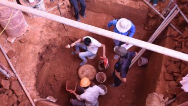 Monolithic Sandstone Shiv Linga of 9th Common Era Unearthed in Vietnam, EAM S Jaishankar Praises ASI