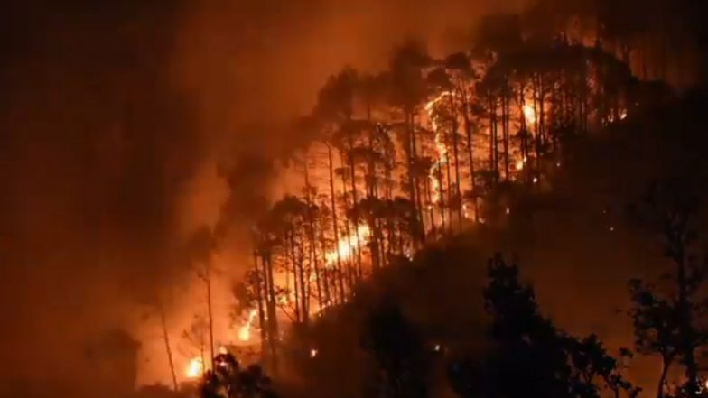 Forest Fire in Uttarakhand Leaves 71 Hectares of Land Destroyed; PIB Says Wildfire Incidents Dropped This Year, Shares Graph