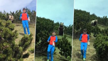 Shocking Video Shows Brown Bear Follow 12-Year-Old Boy in Italy During Family Hike; His Calm Reaction While Escaping The Wild Animal Wins Praises Online!