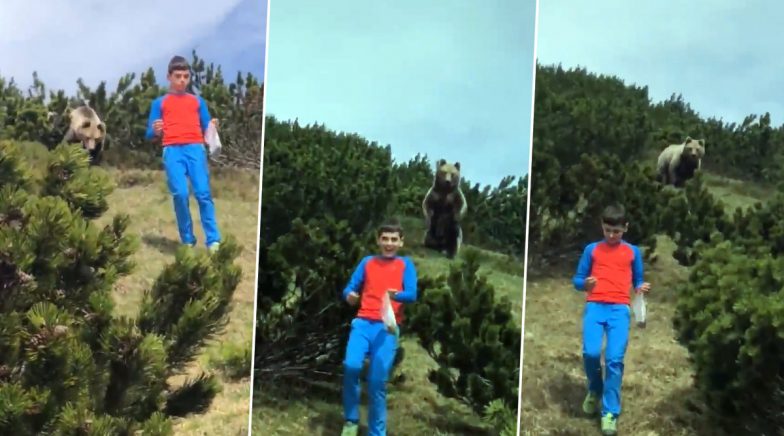 Shocking Video Shows Brown Bear Follow 12-Year-Old Boy in Italy During Family Hike