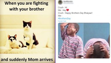 National Brother’s Day 2020 Wishes and Greetings: Funny Memes and Jokes That Sum Up What It’s Like to Have Brothers