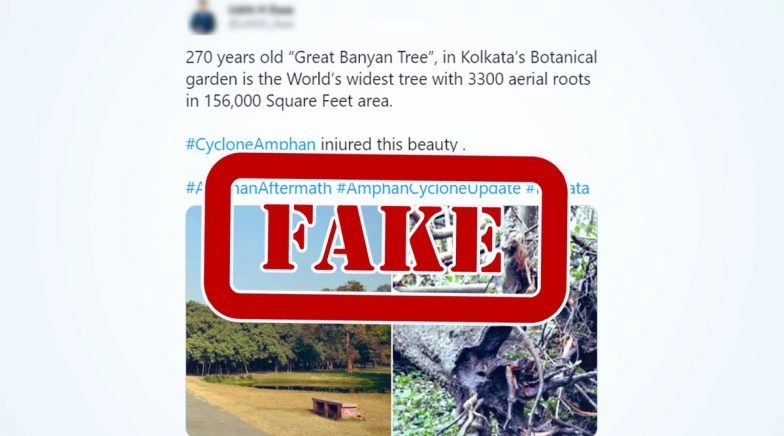 The Great Banyan Tree in Kolkata’s Botanical Garden Is Fine, Park Employee Clarifies