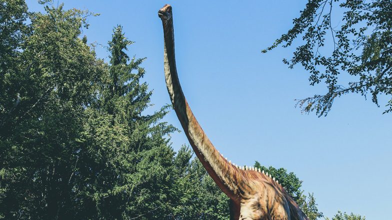 Sauropod Dinosaurs’ 100 Million-Year-Old Bones Discovered in Meghalaya