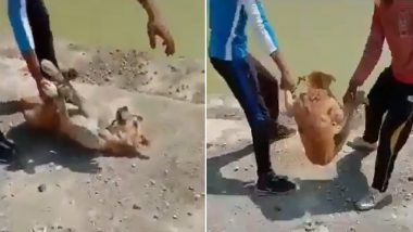 PETA India Identifies Teenagers Who Drowned Dog in Viral TikTok Video, Gets Them Arrested With The Help of Ujjain Police (Check Tweet)
