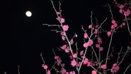 Super Flower Moon 2020 Date and Time: How and When to See the Fourth and Final Supermoon of This Year