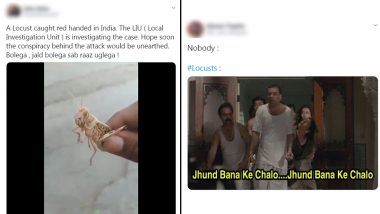 Funny Locust 'Interrogation' Video and Funny Memes on Tiddi Dal Will Keep  You LOLing Amidst All Their 'Buzz' | 👍 LatestLY