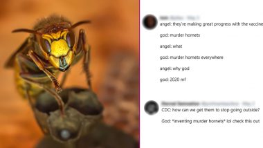 Murder Hornets Funny Memes and Jokes Take Over Twitter Displaying How 2020 Keeps Getting Worse!