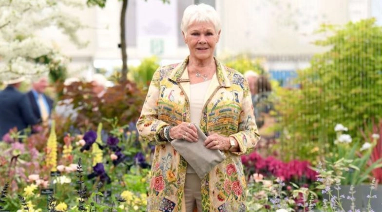 Judi Dench Is Disappointed for Not Doing More Sex Scenes in Her Acting Career