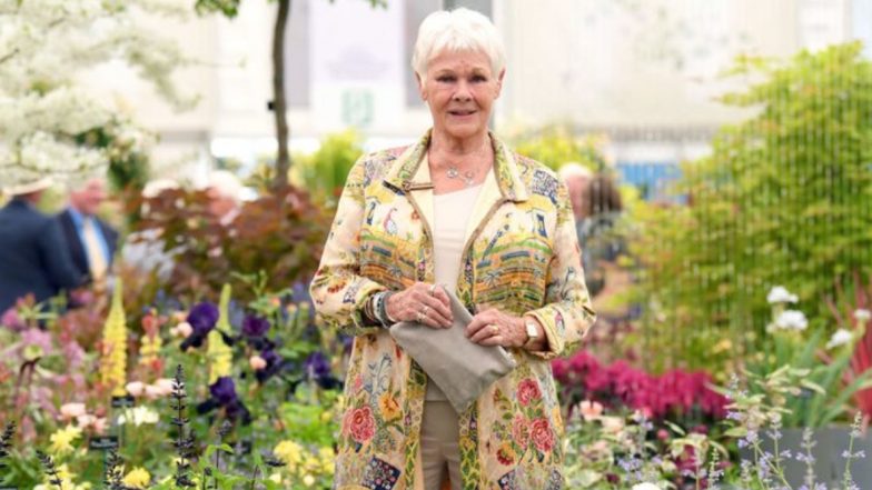 Judi Dench on Her Costume in Cats: ‘The Cloak Was like Five Foxes F**king on My Back’