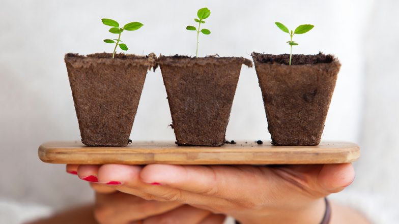 Mother’s Day 2020 Special: Five Ways to Appreciate Mother Earth on This Special Day