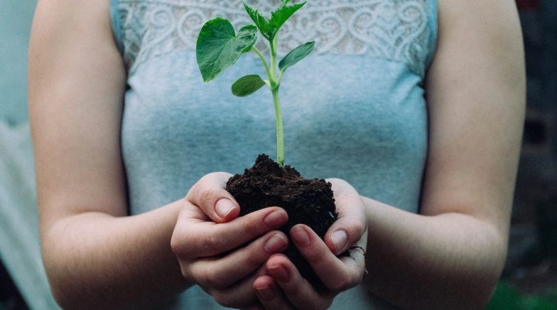 For Clouring to Planting, 6 Hobbies to Reduce Stress During Lockdown