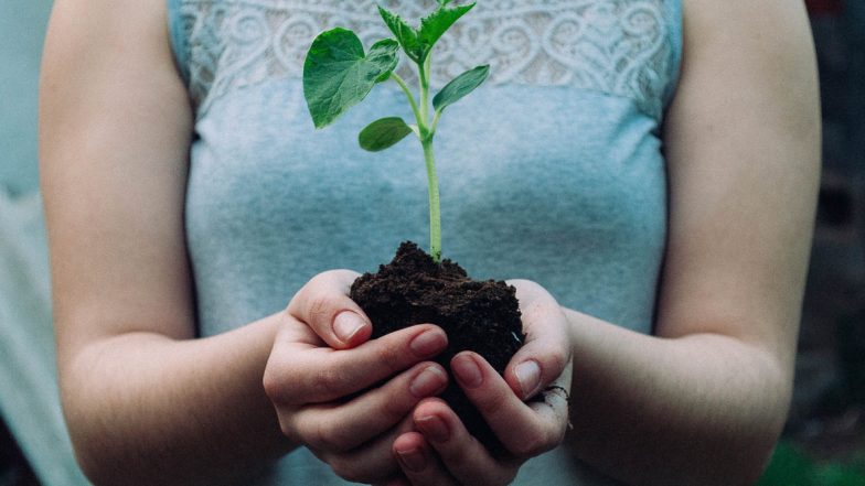 Hobbies to Reduce Stress During Lockdown: From Colouring to Planting, 6 Activities that Can Help You Reduce Stress and Anxiety