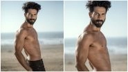 Shahid Kapoor Shares A Shirtless Picture And The Internet is Finding It Too Hot to Handle