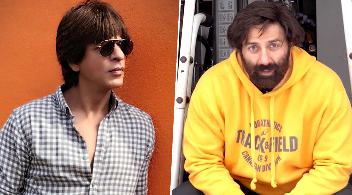 Sunny Deol Ka Sexy Video - Shah Rukh Khan Gives Up On Damini Remake For Sunny Deol - Read Details | ðŸŽ¥  LatestLY