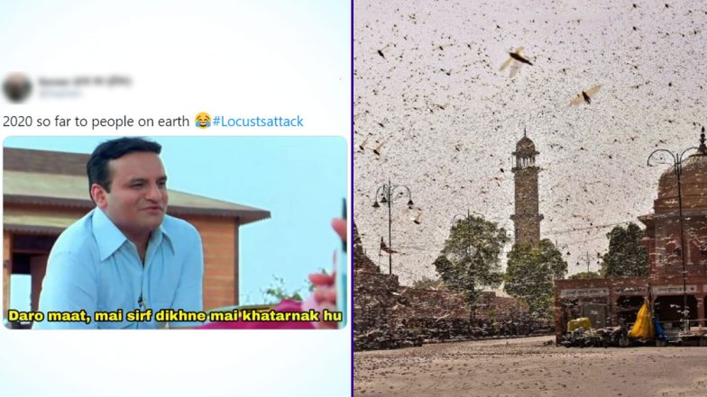 Locust Attack Funny Memes and 'Tiddi Dal' Jokes Take over Twitter As Netizens Find Humour to Resurrect in This Difficult Time
