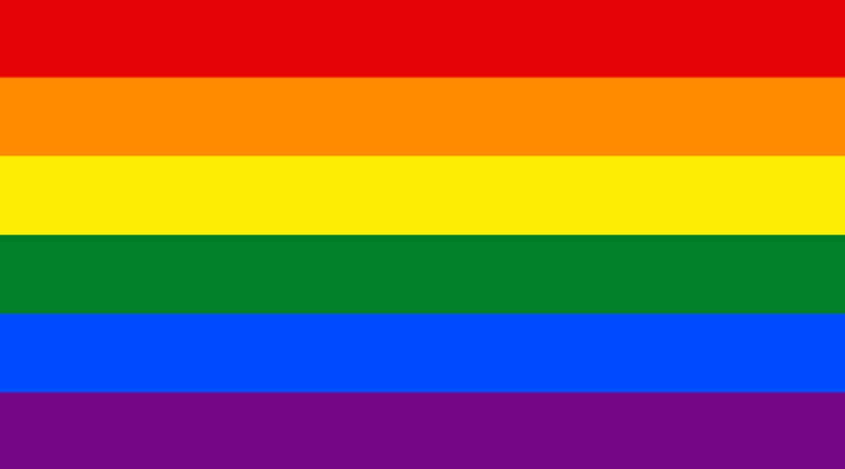 different gay pride flags