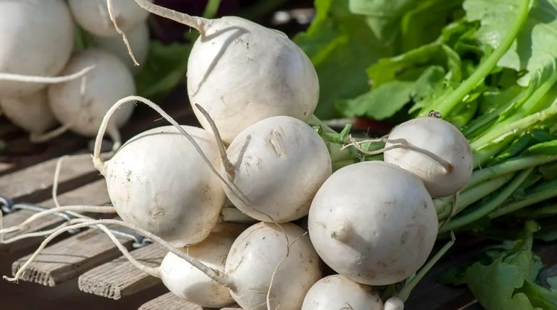 Turnips Health Benefits: Here Are Five Reasons to Have This Cruciferous Vegetable