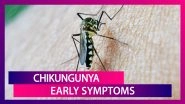 Chikungunya Symptoms: From Fever To Eye Pain, Signs Of This Mosquito-Borne Disease