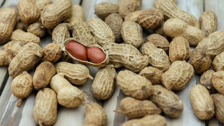 Kerala Tragedy: 3-Year-Old Boy Dies After Choking on Peanut in Malappuram