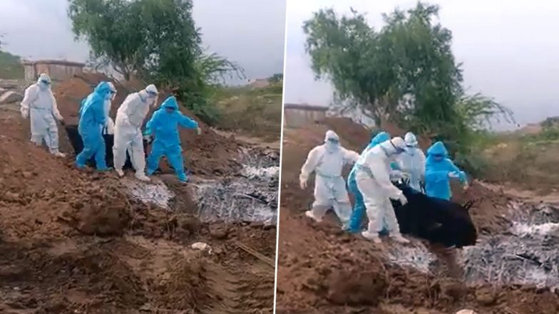 DK Shivakumar Shares Video Showing Dead Bodies of COVID-19 Patients Being Thrown in Pit in Ballari, Administration Apologises