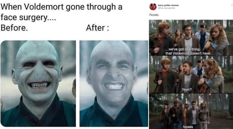 Voldemort, Harry Potter Memes