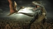 Giant Meat-Eating Dinosaur's Footprints Reveal The Reptiles Once Lived in Oakley, Australia