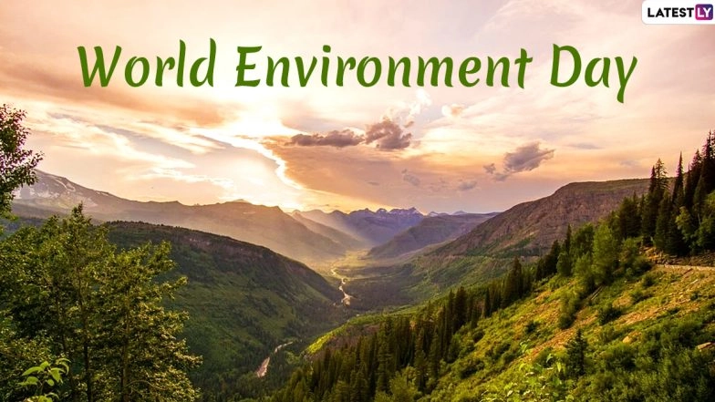 World Environment Day 2020: From Facewash to Coffee, Daily Use Things &amp; Activities You Have No Idea Are Damaging the Environment! Here's What You Can Do For a Sustainable Future