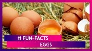 Why Are Some Eggs White-Shelled And Some Brown? 11 Fun-facts About Eggs