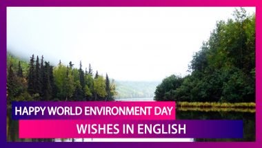 Happy World Environment Day 2020 Wishes: WhatsApp Messages, Slogans, Images to Wish Everyone on WED!