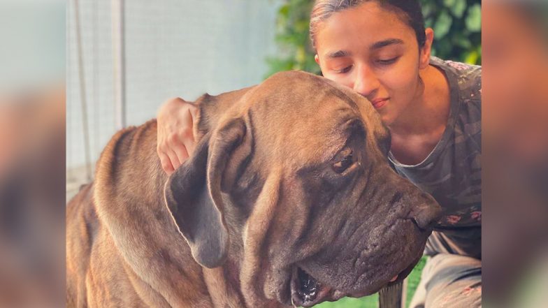 Alia Bhatt Poses Alongside Ranbir Kapoor’s Pet Dog, ‘They Make Everything Better’ Captions the Raazi Actress (View Pics)