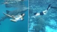 World Oceans Day 2020: Sonakshi Sinha, Katrina Kaif and Others Share Posts About the Importance of Preserving the Vast Water Bodies&nbsp;&nbsp;