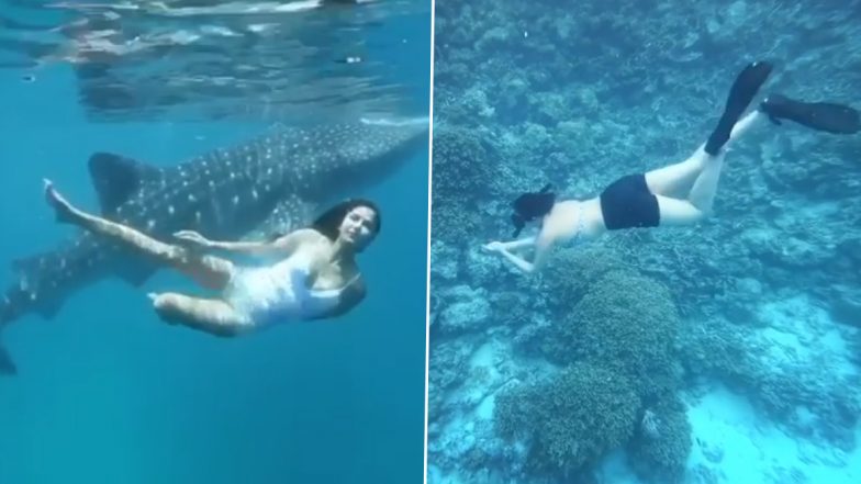 World Oceans Day 2020: Sonakshi Sinha, Katrina Kaif and Others Share Posts About the Importance of Preserving the Vast Water Bodies  