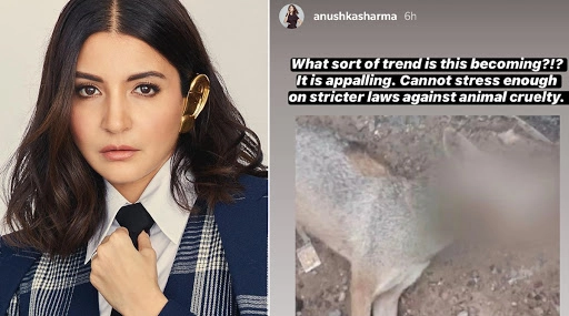 Anushka Sharma Furious After a Jackal's Killing by Explosives in Tamil Nadu