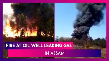 Assam Baghjan Oil Well: Massive Fire Due To Gas Leak Claims Two Lives, Experts Say It Could Take 28 Days To Cap