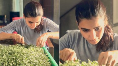 Samantha Akkineni Shares a Picture of Her First Harvest Of Cabbage Microgreens and It's Sure to Inspire You to Take Up Gardening! 