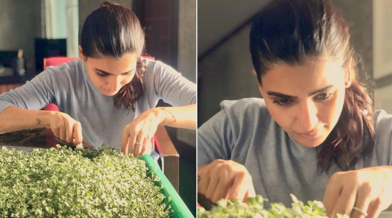 Samantha Akkineni Shares a Post Of Her First Harvest and It's Amazing! 