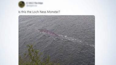 Is This the Loch Ness Monster? Viral Photo of Giant Sea Creature From Scotland Sparks Debate Online, Twitterati Speculate Its ‘Nessie’