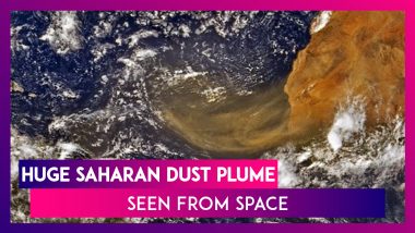 NASA Astronaut Doug Hurley Shares Pic Of Huge Saharan Dust Plume Seen From Space