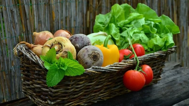 From Vitamin C to Zinc, Here Are Five Micronutrients You Should Include in Your Diet For Strong Immune System