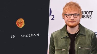 THIS Painting of Ed Sheeran Was Sold For A Whopping £912 by Noel Fielding