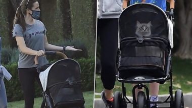 Jennifer Garner Reveals Staying with Her Family and Taking Her Cat to Walk Have Kept Her Sane During Lockdown