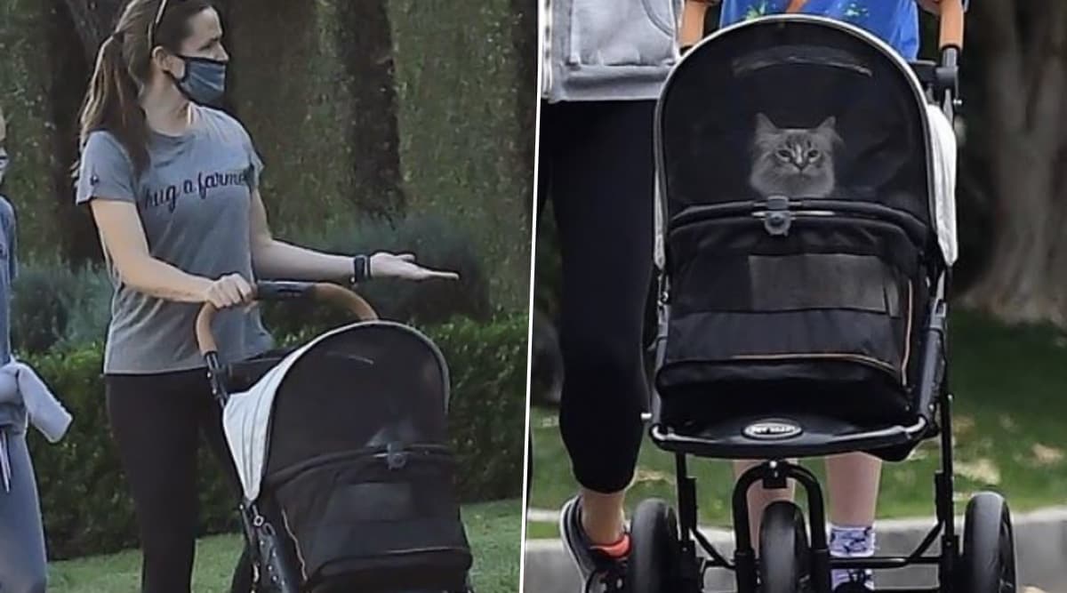 Jennifer Garner Reveals Staying with Her Family and Taking Her Cat to Walk Have Kept Her Sane