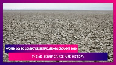 World Day To Combat Desertification & Drought 2020: Theme, Significance, History Of The Global Event